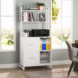 2 Drawer File Cabinet, Vertical Filing Cabinet for Home Office