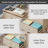 2 Drawer Lateral File Cabinet, Office Filing Cabinet for A4 / Letter Size/Legal Size Files