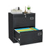2 Drawer Metal Lateral File Cabinet with Lock