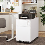 2 Drawer Mobile File Cabinet with Lock Metal Filing Cabinet for Legal/Letter/A4/F4 Size