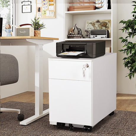 2 Drawer Mobile File Cabinet with Lock Metal Filing Cabinet for Legal/Letter/A4/F4 Size