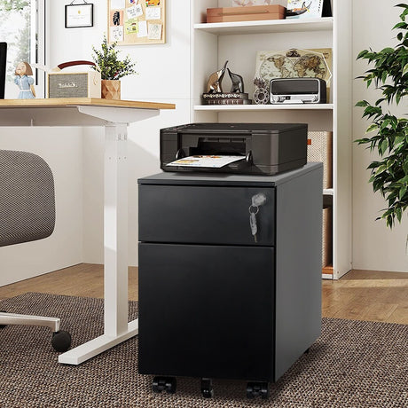 2 Drawer Mobile File Cabinet with Lock Metal Filing Cabinet for Legal/Letter/A4/F4 Size