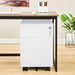 2 Drawer Mobile File Cabinet with Lock Metal Filing Cabinet for Legal/Letter/A4/F4 Size
