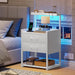 2 Drawer Nightstand with LED Lights Charging Station