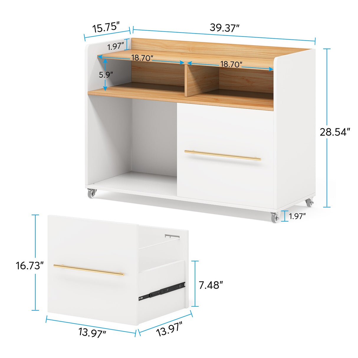 2 Drawer Rolling Filing Cabinets Wood Lateral File Cabinet for Letter, Printer Stand with Wheels Storage Shelf for Home Office