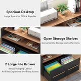 2 Drawer Rolling Filing Cabinets Wood Lateral File Cabinet for Letter, Printer Stand with Wheels Storage Shelf for Home Office
