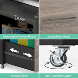 2 Drawer Rolling Filing Cabinets Wood Lateral File Cabinet for Letter, Printer Stand with Wheels Storage Shelf for Home Office