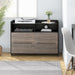 2 Drawer Rolling Filing Cabinets Wood Lateral File Cabinet for Letter, Printer Stand with Wheels Storage Shelf for Home Office
