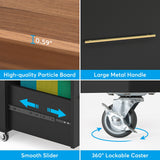 2 Drawer Rolling Filing Cabinets Wood Lateral File Cabinet for Letter, Printer Stand with Wheels Storage Shelf for Home Office