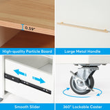 2 Drawer Rolling Filing Cabinets Wood Lateral File Cabinet for Letter, Printer Stand with Wheels Storage Shelf for Home Office