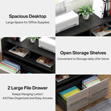 2 Drawer Rolling Filing Cabinets Wood Lateral File Cabinet for Letter, Printer Stand with Wheels Storage Shelf for Home Office
