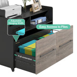 2 Drawer Rolling Filing Cabinets Wood Lateral File Cabinet for Letter, Printer Stand with Wheels Storage Shelf for Home Office