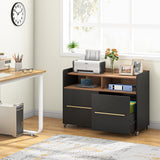 2 Drawer Rolling Filing Cabinets Wood Lateral File Cabinet for Letter, Printer Stand with Wheels Storage Shelf for Home Office