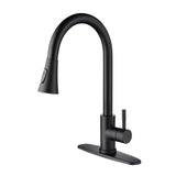 2-Function 1-Handle 1-Hole Kitchen Faucet with Pull Out Spraye