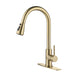 2-Function 1-Handle 1-Hole Kitchen Faucet with Pull Out Spraye