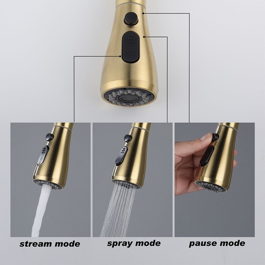 2-Function 1-Handle 1-Hole Kitchen Faucet with Pull Out Spraye