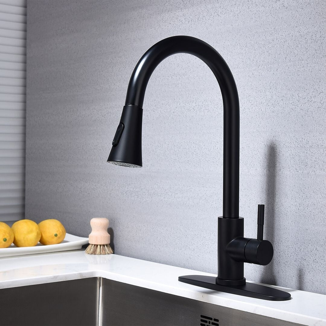 2-Function 1-Handle 1-Hole Kitchen Faucet with Pull Out Spraye
