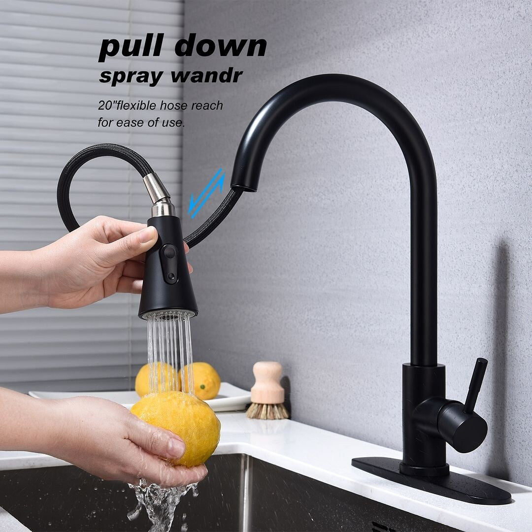 2-Function 1-Handle 1-Hole Kitchen Faucet with Pull Out Spraye