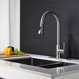 2-Function 1-Handle 1-Hole Kitchen Faucet with Pull Out Spraye