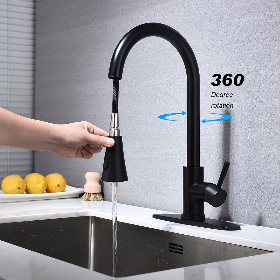2-Function 1-Handle 1-Hole Kitchen Faucet with Pull Out Spraye