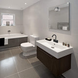 2 Handle Bathroom Sink Faucet