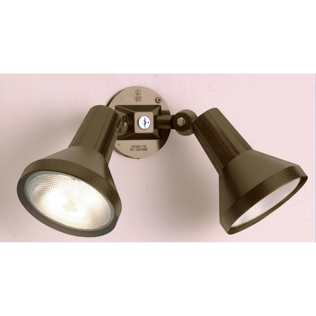 2-Light 15 In. PAR38 Floodlight