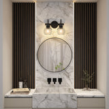 2-Light Bathroom Vanity Light with Clear Glass Shade, Wall Lighting Fixture