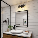2-Light Bathroom Vanity Light with Clear Glass Shade, Wall Lighting Fixture