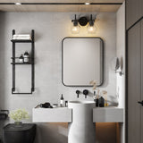 2-Light Bathroom Vanity Light with Clear Glass Shade, Wall Lighting Fixture