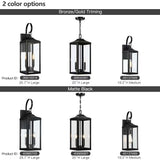 2-Light Bronze Large Transitional Outdoor Hanging Pendant Light with Clear Glass - 20 in. H