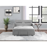 2 Seat Sofa Convertible Pull-out Sofa Bed Velvet Sleeper Sofa