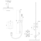2-Spray Patterns with 16 in.Ceiling Mount Dual Shower Heads