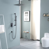 2-Spray Patterns with 16 in.Ceiling Mount Dual Shower Heads