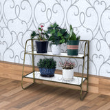 2 Tier Tubular Metal Frame Stand with Glass Shelves, Brass and Clear