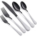 20 Piece 18/0 Stainless Steel Flatware Set
