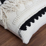 20 x 20 Fringed Cotton Accent Pillow Cover, White and Black