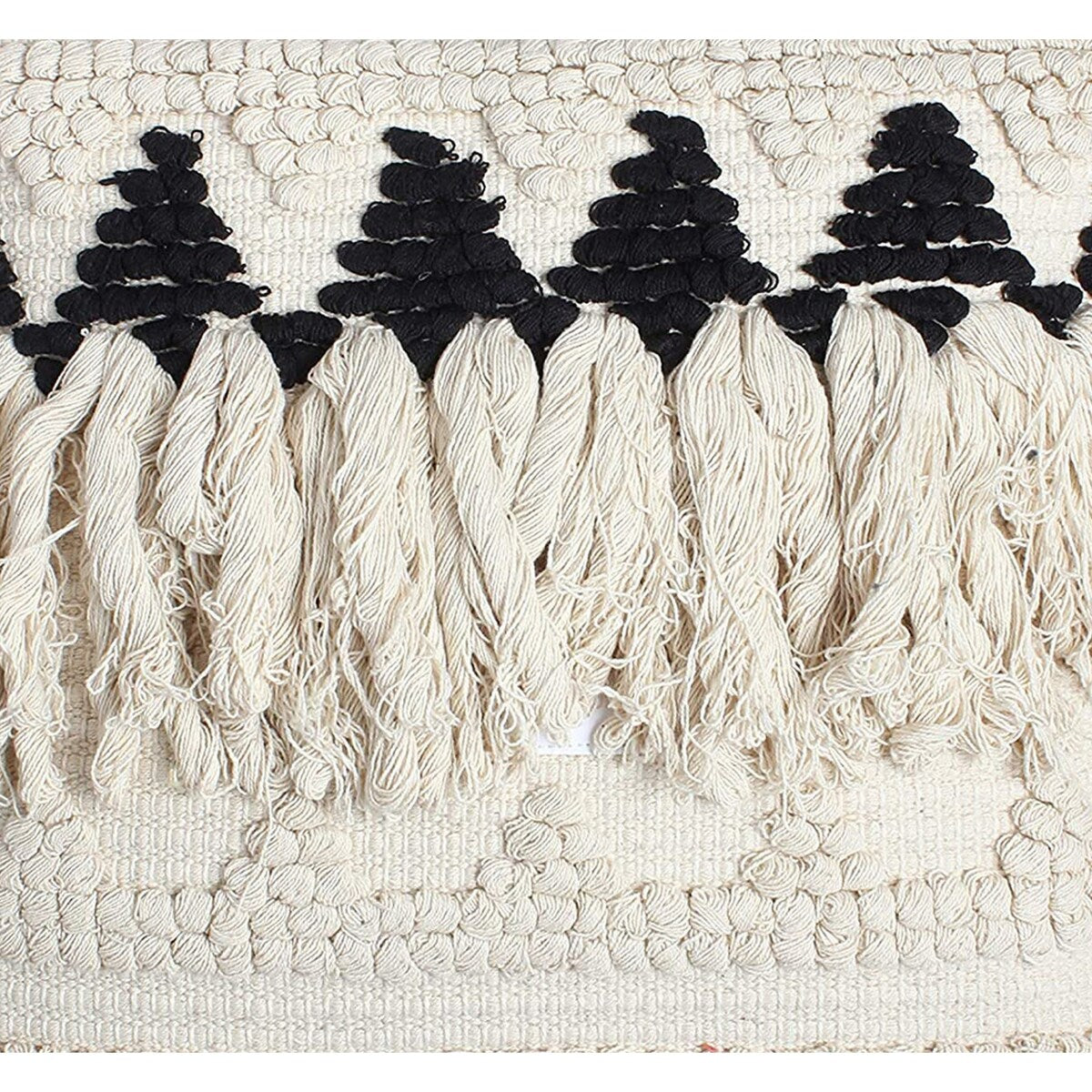 20 x 20 Fringed Cotton Accent Pillow Cover, White and Black