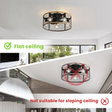 20" Industrial 5-Light Black Caged Ceiling Fan with Light Kit and Remote Control Included - 20 inch