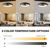 20" Lighting Ceiling Fan with Adjustable Brightness and Gear