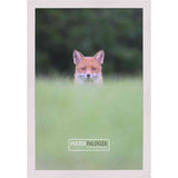 20x11 Lacquer White Complete Wood Picture Frame with UV Acrylic, Foam Board Backing, & Hardware