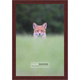 20x12 Traditional Mahogany Complete Wood Picture Frame with UV Acrylic, Foam Board Backing, & Hardware