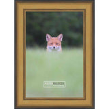20x16 Traditional Gold Complete Wood Picture Frame with UV Acrylic, Foam Board Backing, & Hardware
