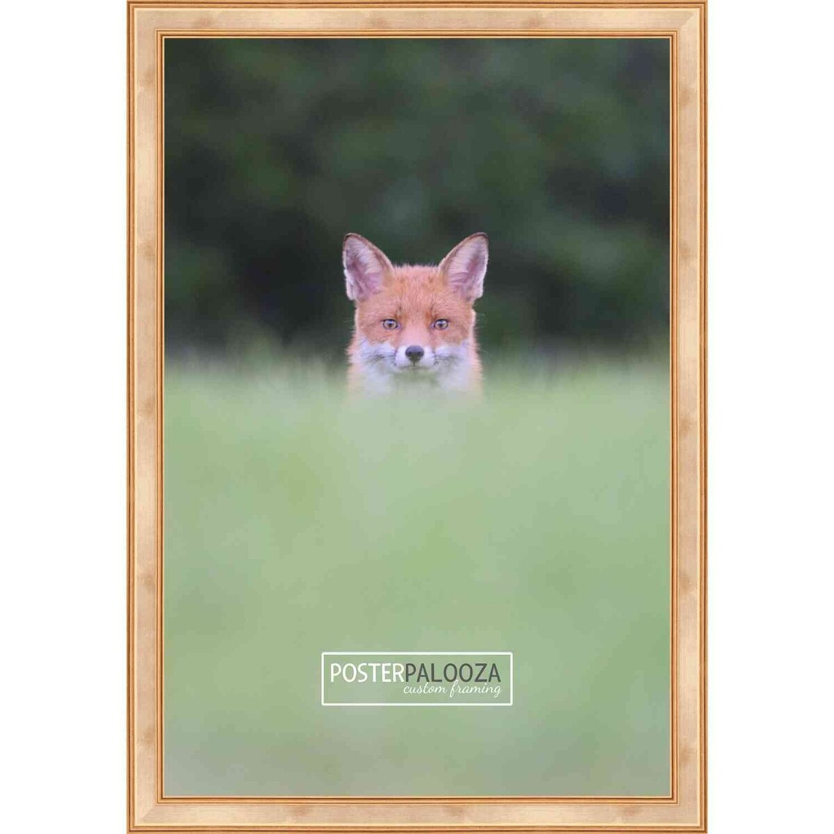 20x17 Contemporary Antique Gold Complete Wood Picture Frame with UV Acrylic, Foam Board Backing, & Hardware
