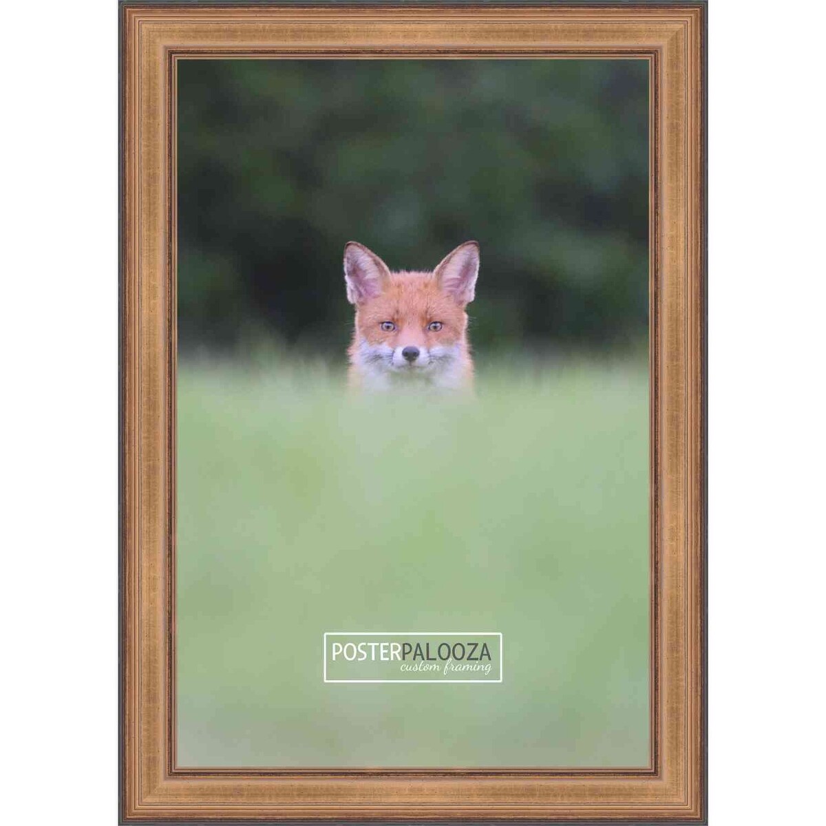 20x24 Traditional Gold Complete Wood Picture Frame with UV Acrylic, Foam Board Backing, & Hardware