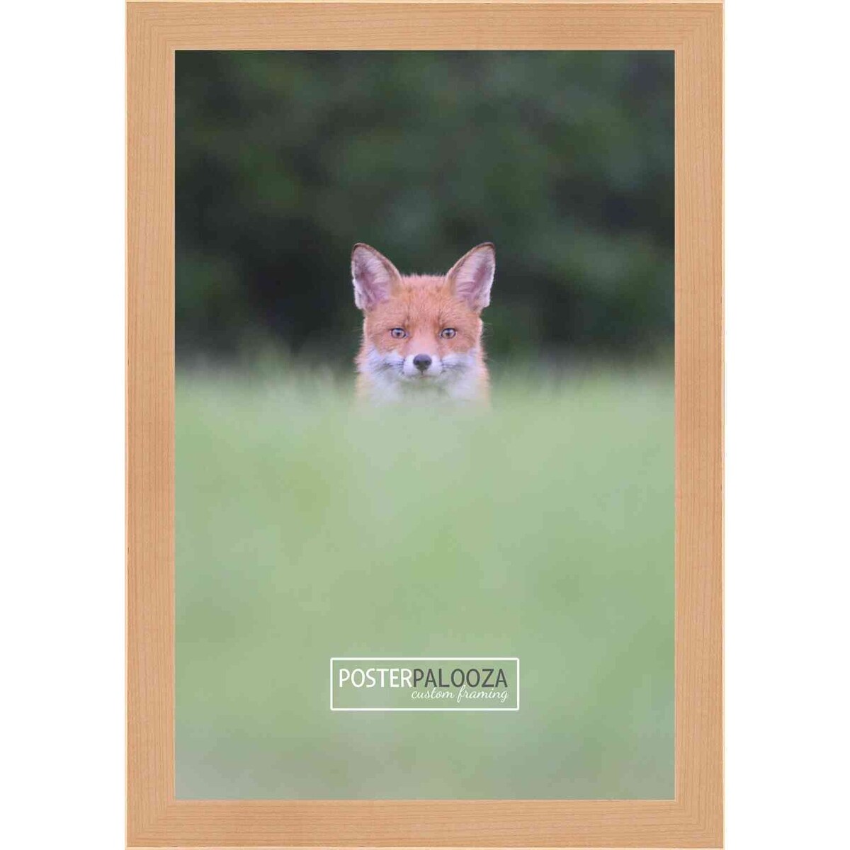 20x36 Contemporary Natural Complete Wood Picture Frame with UV Acrylic, Foam Board Backing, & Hardware