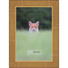 20x40 Traditional Gold Complete Wood Panoramic Frame with UV Acrylic, Foam Board Backing, & Hardware