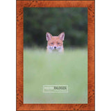 21x28 Traditional Honey Pecan Complete Wood Picture Frame with UV Acrylic, Foam Board Backing, & Hardware