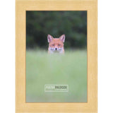 21x28 Traditional Natural Complete Wood Picture Frame with UV Acrylic, Foam Board Backing, & Hardware