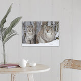 "A Lynx with her cub" Canvas Wall Art