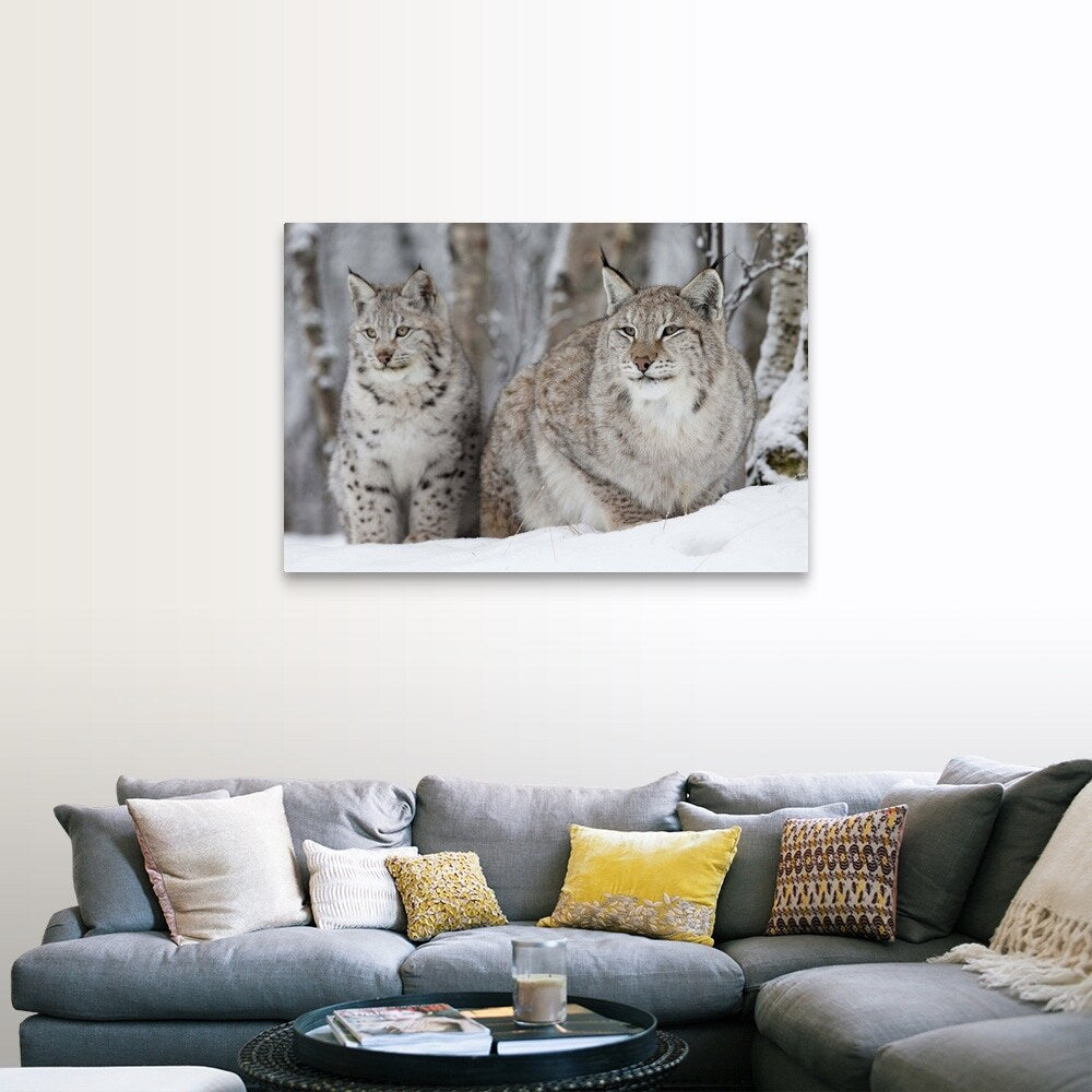 "A Lynx with her cub" Canvas Wall Art